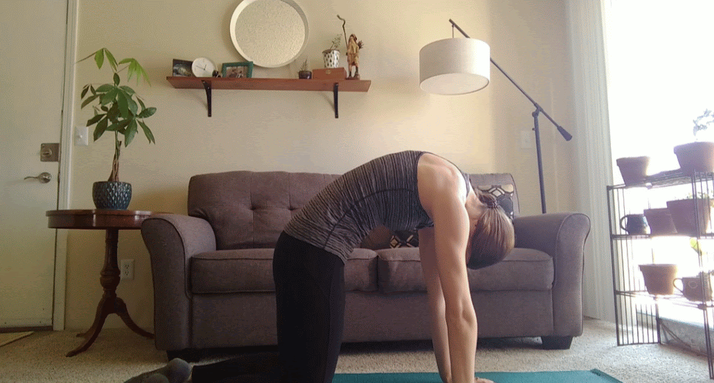 A woman showing cat/cow and tail wag exercise 